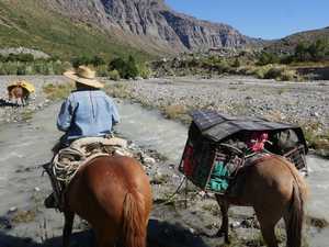 MSC 120W Solar Donkey Andes 2019 MSC 120W Solar Donkey